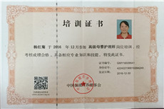 杨红菊PC02